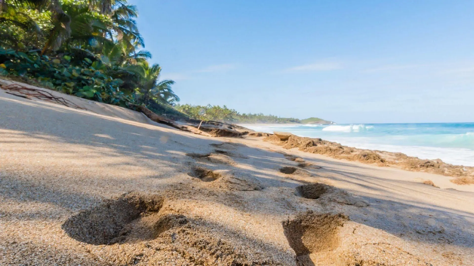 Ventana al Atlantico Boutique Hotel at Arecibo 681 Ocean Drive Islote